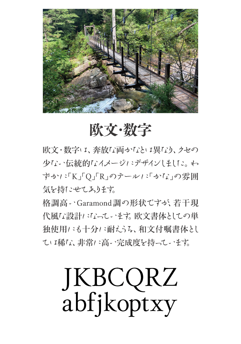 清流かなファミリーの特長 説明文：欧文・数字